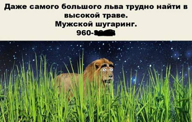 Великие цитаты