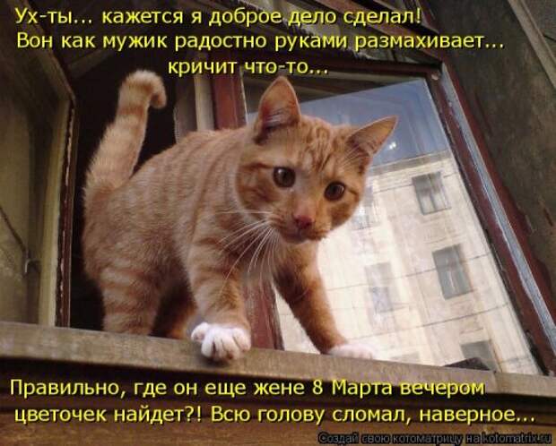 Свежая котоматрица (22 шт)