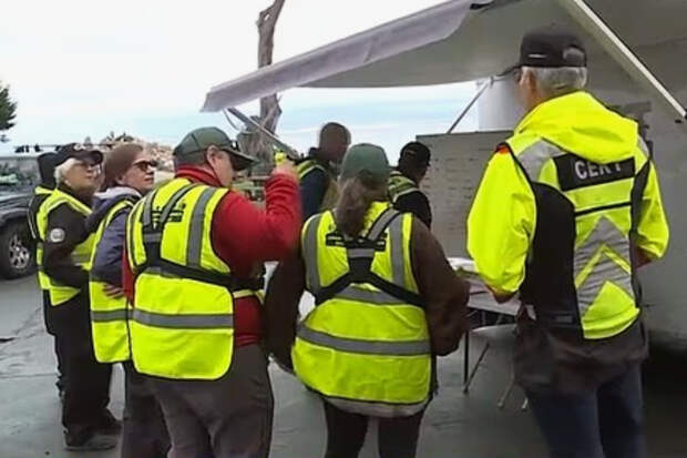 Любившая акул спортсменка стала жертвой акулы