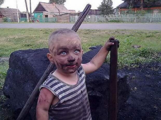 Всем бы таких помощников