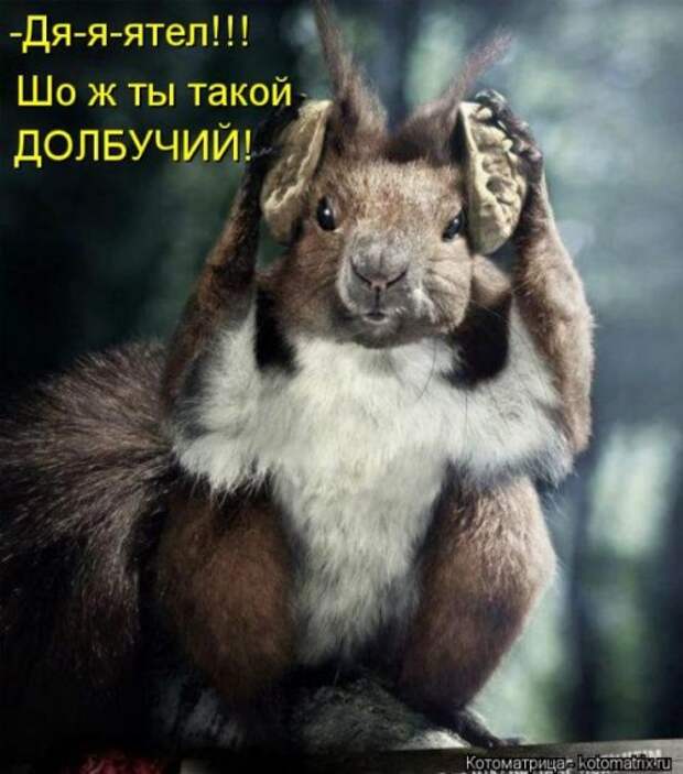 Веселая котоматрица