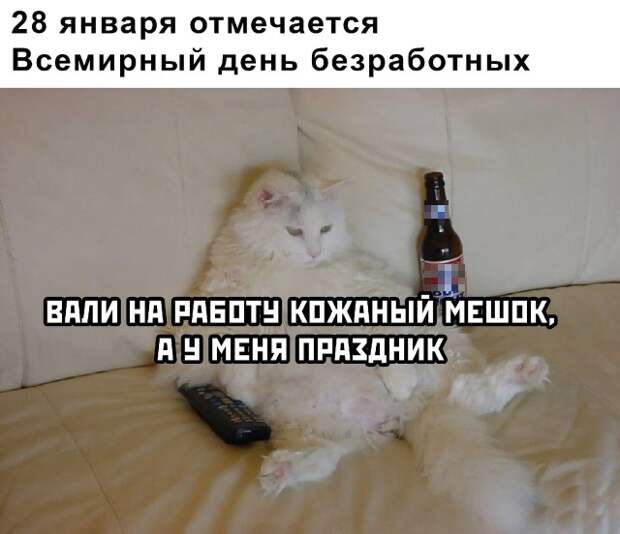 Смешные картинки вечер 28 января 2021