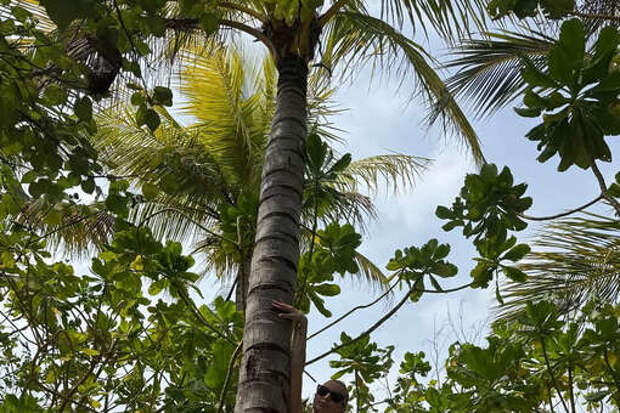 Балерина Анастасия Волочкова опубликовала фото в крошечном бикини