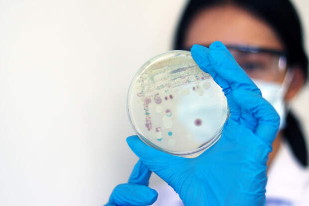 Минздрав: в России появился тест для поиска наследственных болезней