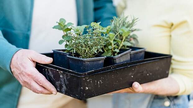 Народные приметы и обряды 18 марта. Как заговорить грядки на урожай и сделать кожу гладкой