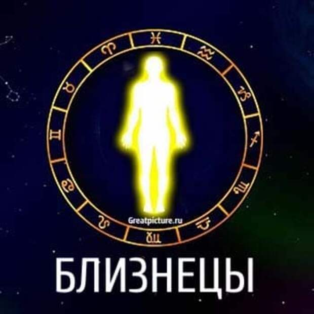 близнецы