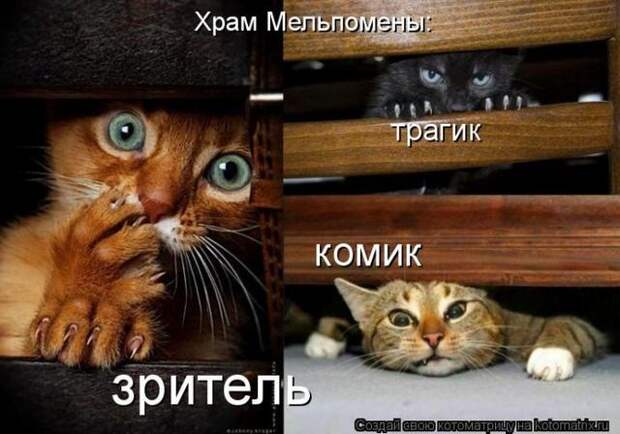 фотографий животных с подписями (50 фото)