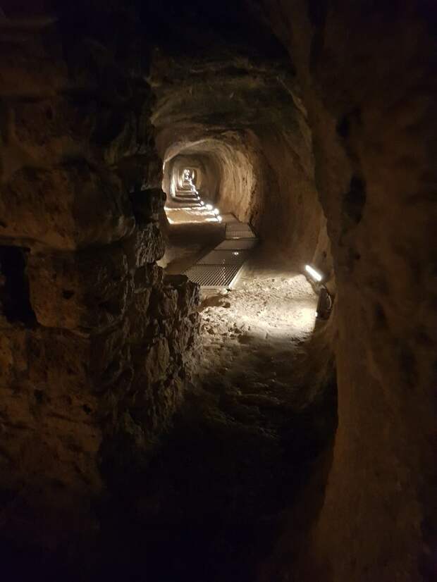 https://libertours.co.uk/wp-content/uploads/2019/09/69264656_2238643266262325_5558082169475170304_n.jpg