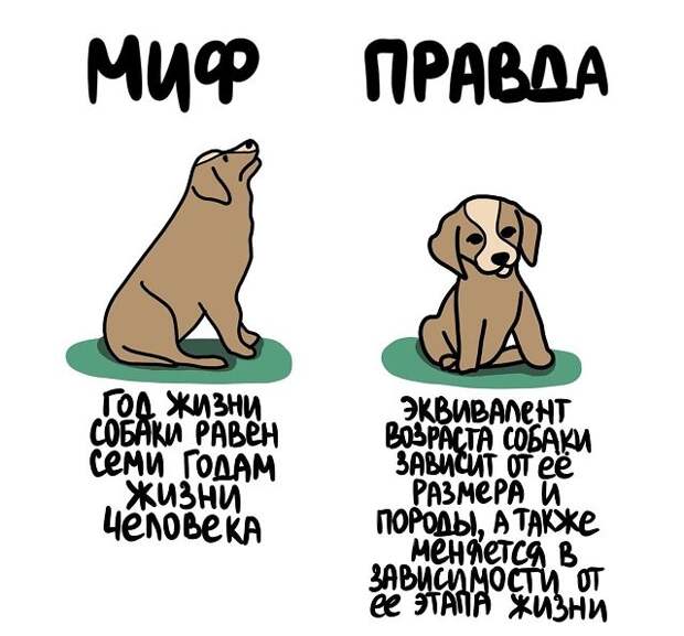 Короткие и интересные факты на все случаи жизни