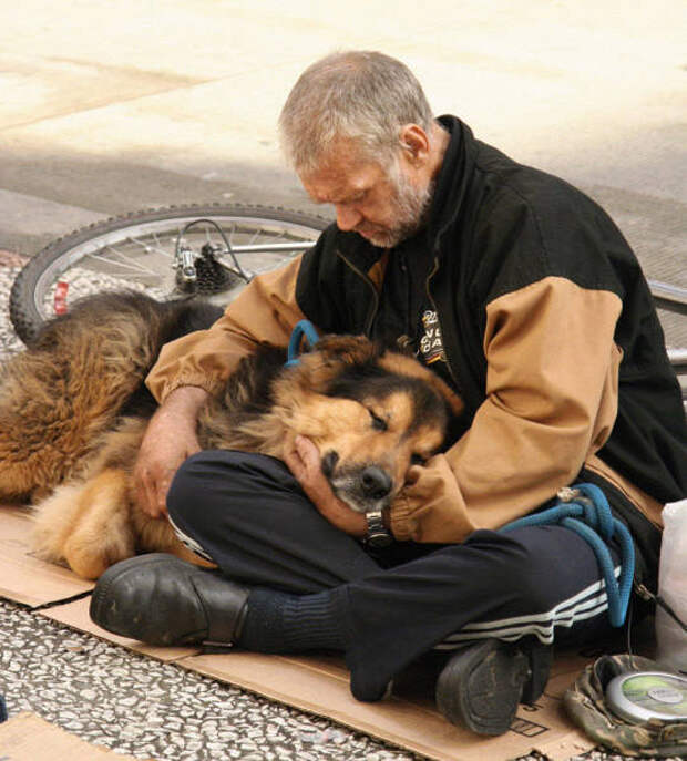 dogs_dont_care_about_money_all_they_need_is_love_640_15