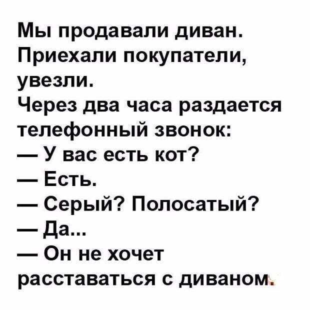Забавные и прикольные картинки с надписями со смыслом