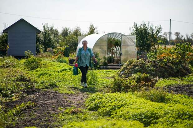 Россиянам грозит штраф за неправильно установленный дачный туалет