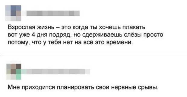 Взрослая жизнь