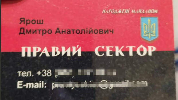 Визитка экстремиста Яроша*, найденная у Поповой//Стоп-кадр оперативного видео, предоставленного Царьграду источником