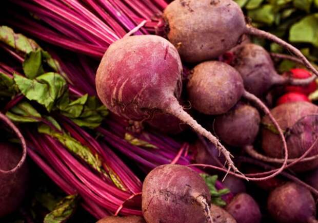 http://www.joyofkosher.com/wp-content/uploads/2010/03/Kosher-Ingredient-of-the-Month-Beets-Baby-600x420.jpg