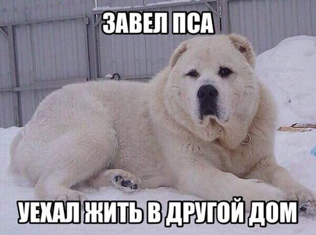 Ну очень смешной черный юмор в картинках! Ну очень смешной черный юмор в картинках!
