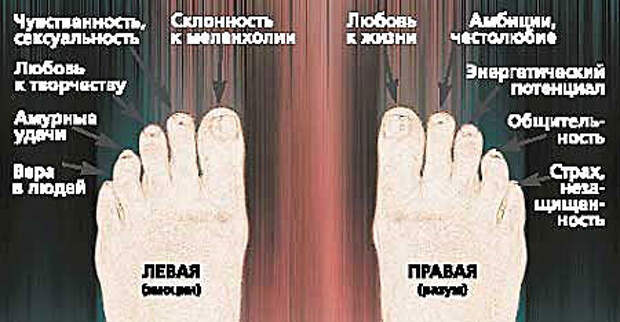 Что означает пальчики. Название пальцев на ноге. Название пальцев стопы. Пальцы на ногах название. Пальцы на ногах значение.
