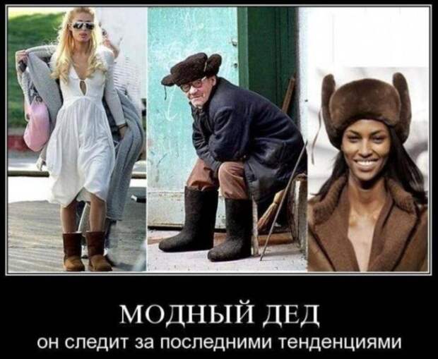 приколы дня (9)