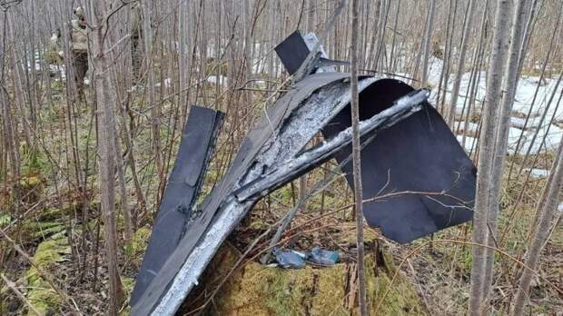 Киев использует страны НАТО для атак БПЛА на объекты в России