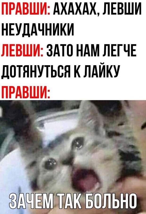 1593955449-kartinki-3.jpg