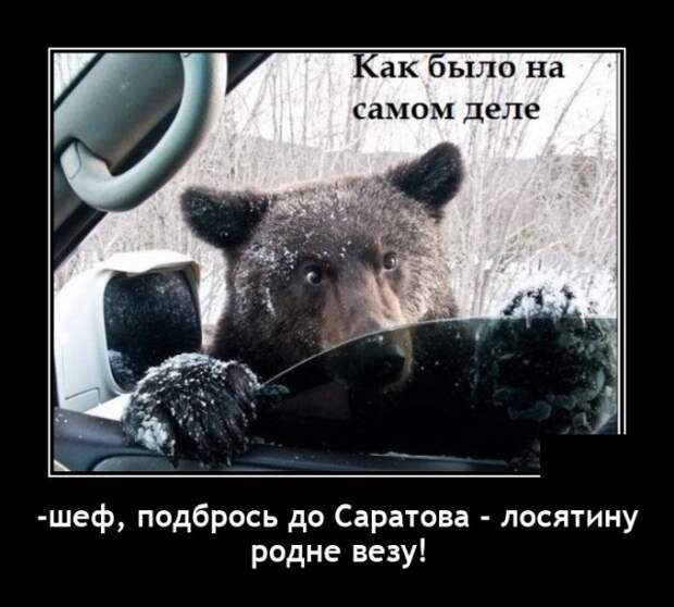Демотиваторы 2 ноября 2021 года