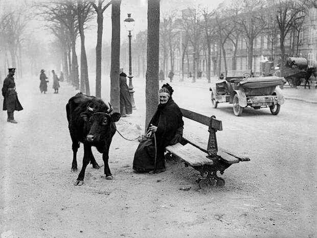 Пожилая женщина, бежавшая из зоны боевых действий со своей коровой, сидит на скамейке в Амьене, Франция, 28 марта 1918 г.
