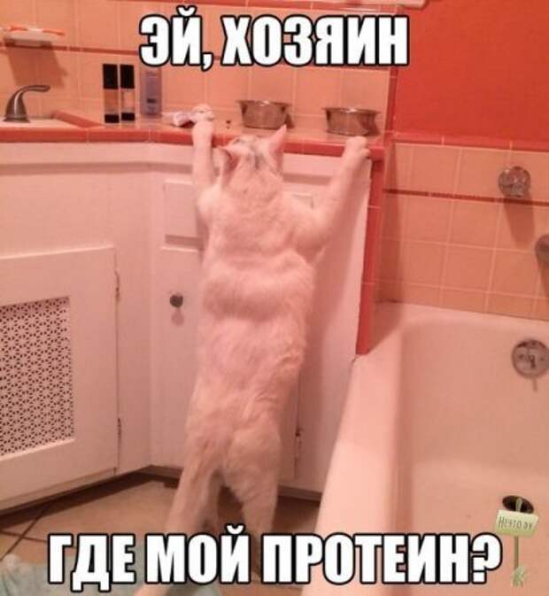 Самые-самые фотки и картинки