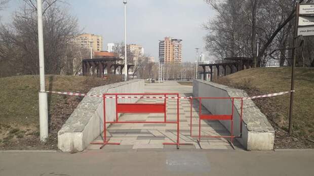 парки.jpg