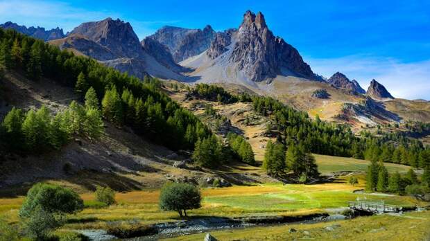 Высокие горы и холмы, покрытые лесами / Фото: wirestock / freepik.com