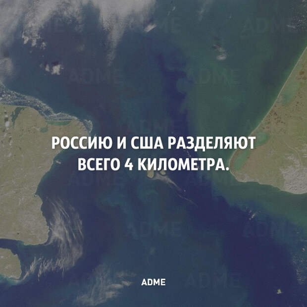 25 коротких фактов о нашем мире