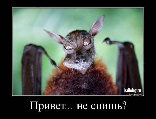 Очень прикольные демотиваторы (50 штук)