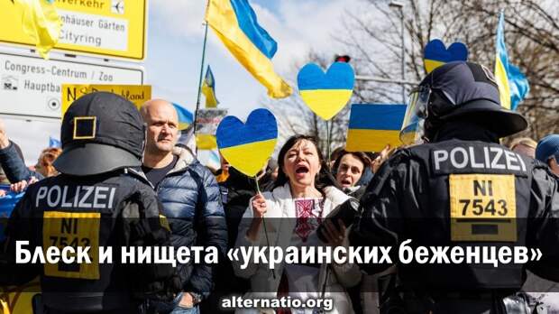 Блеск и нищета «украинских беженцев»