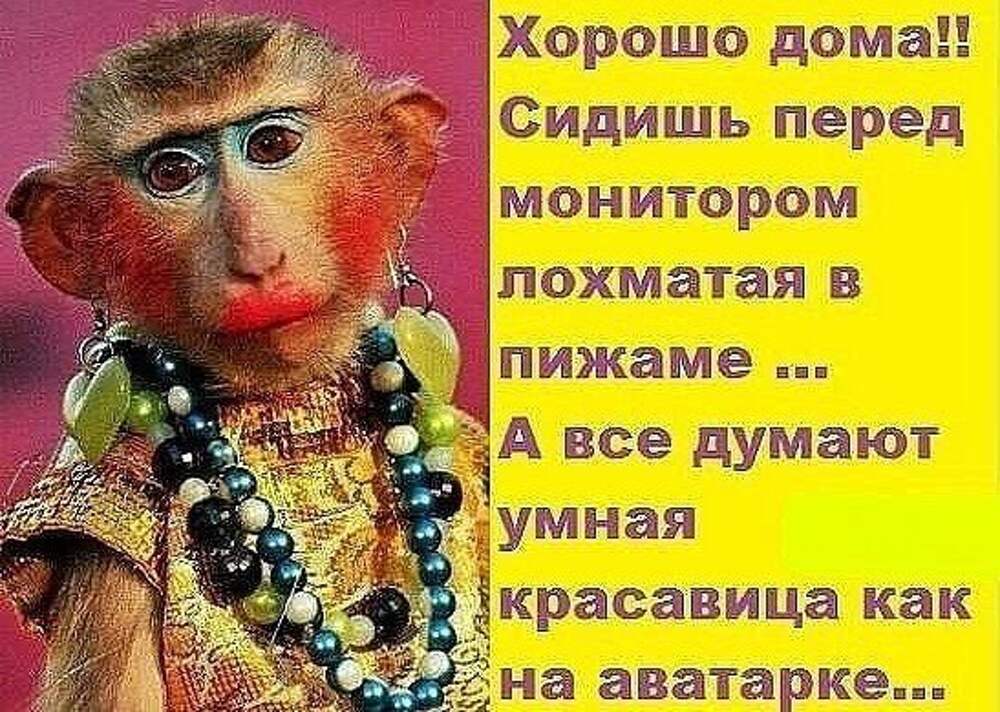 Хорошо сидим картинки