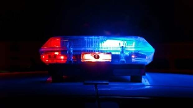 Бийчанин напоил своего товарища и обчистил его дом