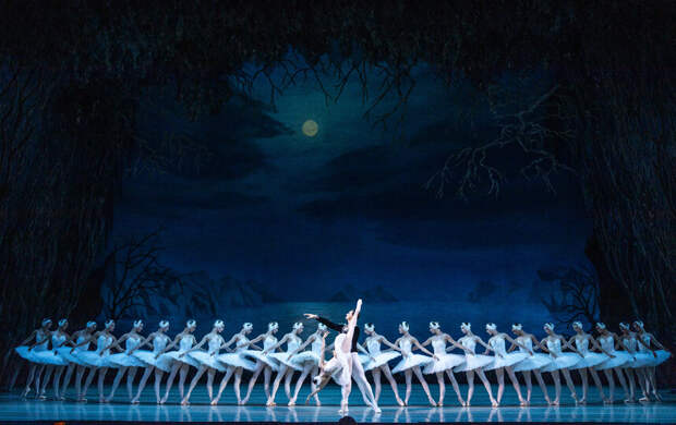 Петербуржцев приглашают на балет "Лебединое озеро"