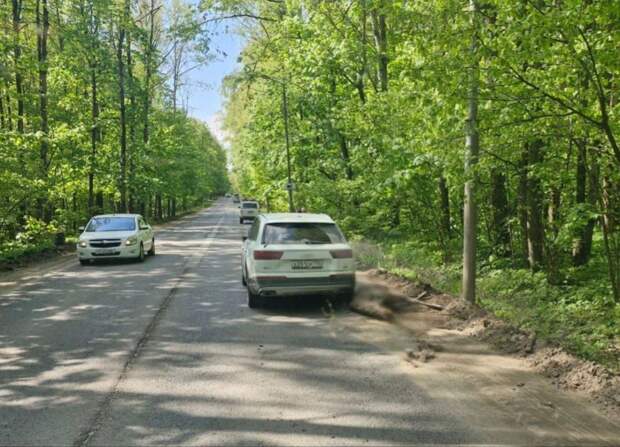 В Тульской области легковушка сбила лося на дороге
