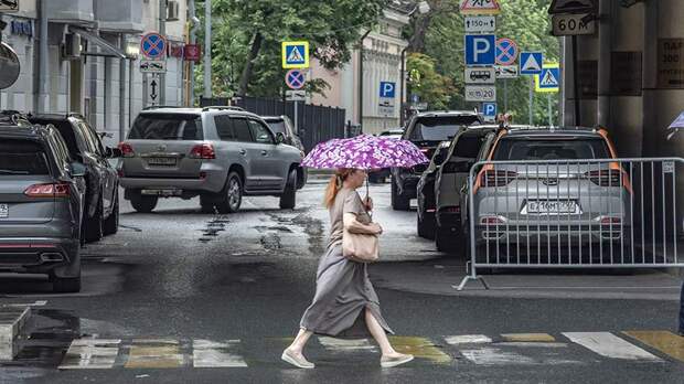 Синоптики спрогнозировали грозу и до +26 градусов в Москве 10 июня
