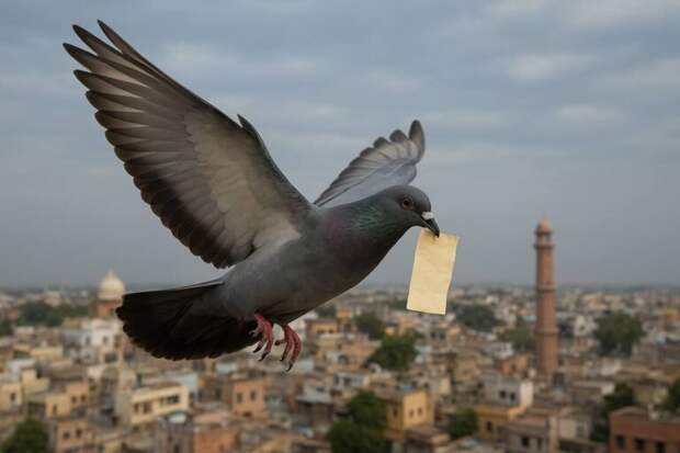 Почтовые службы по всему миру приостановили доставку посылок в США