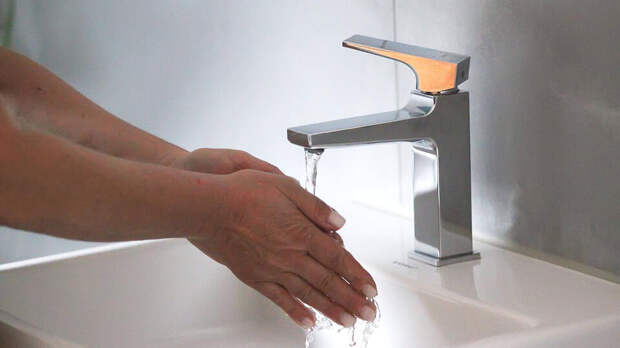 В РАН порекомендовали лучше мыть овощи из-за вируса Нипах