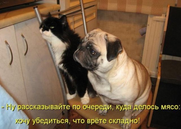 Субботний позитивчик (30 фото)
