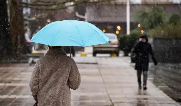 Москвичей предупредили о сильном ветре и дожде