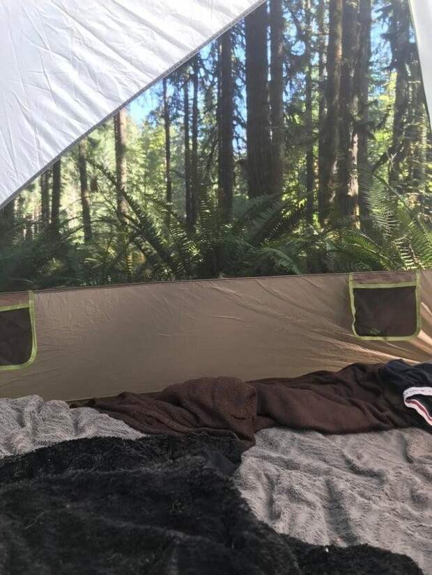 Вид из палатки похож на фотообои