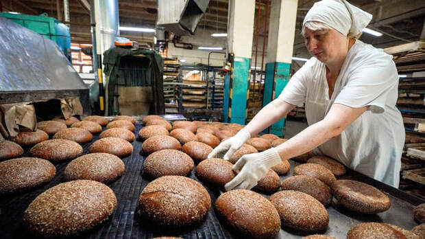 "Ъ": ржаной хлеб в России растет в цене из-за сокращения посевов