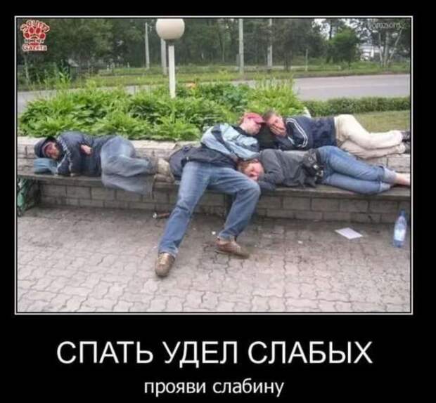 Прикольные демотиваторы с надписями. Подборка chert-poberi-dem-chert-poberi-dem-59360623082020-2 картинка chert-poberi-dem-59360623082020-2