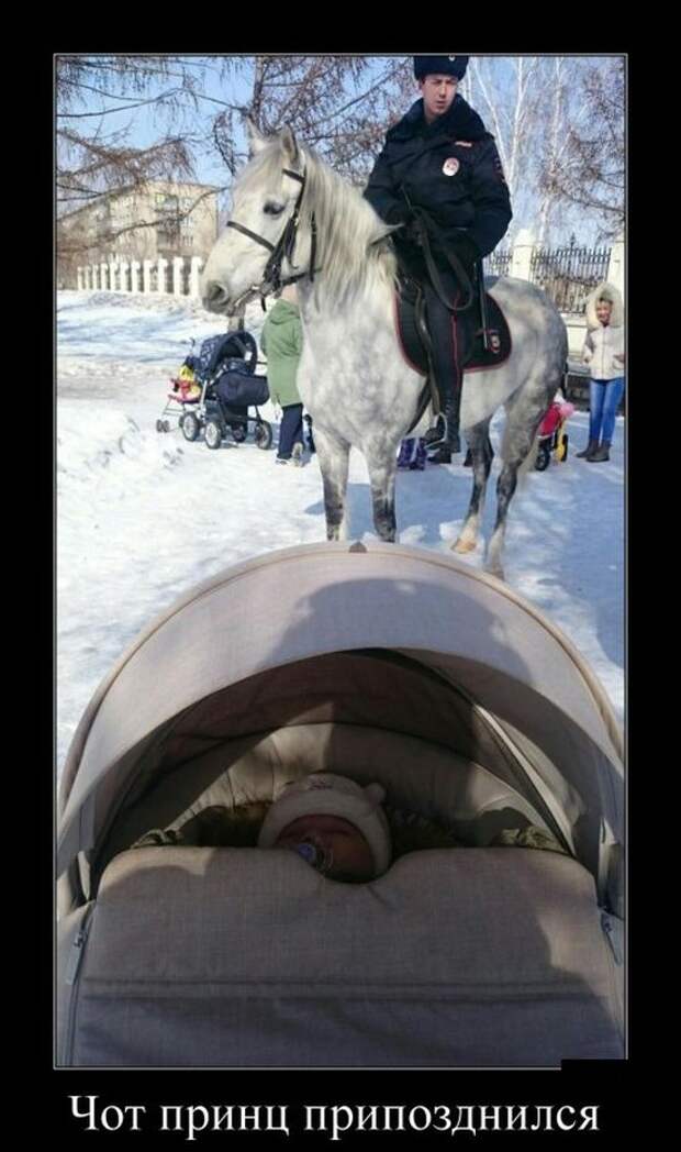 Демотиваторы (30 фото)