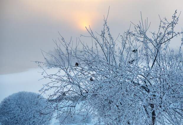В московском регионе зафиксировали минус 25 градусов