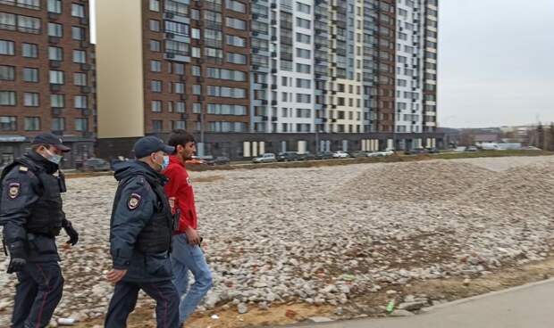 Репортаж из Сосенского: как проходит полицейский рейд и что делать местным жителям