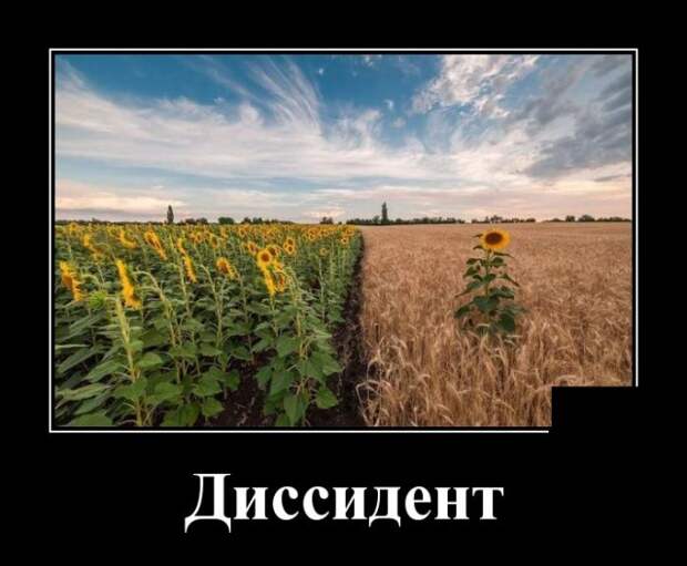 Демотиваторы (30 фото)