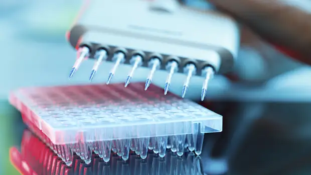 Профессор Степанов поделился мнением о будущем пандемии