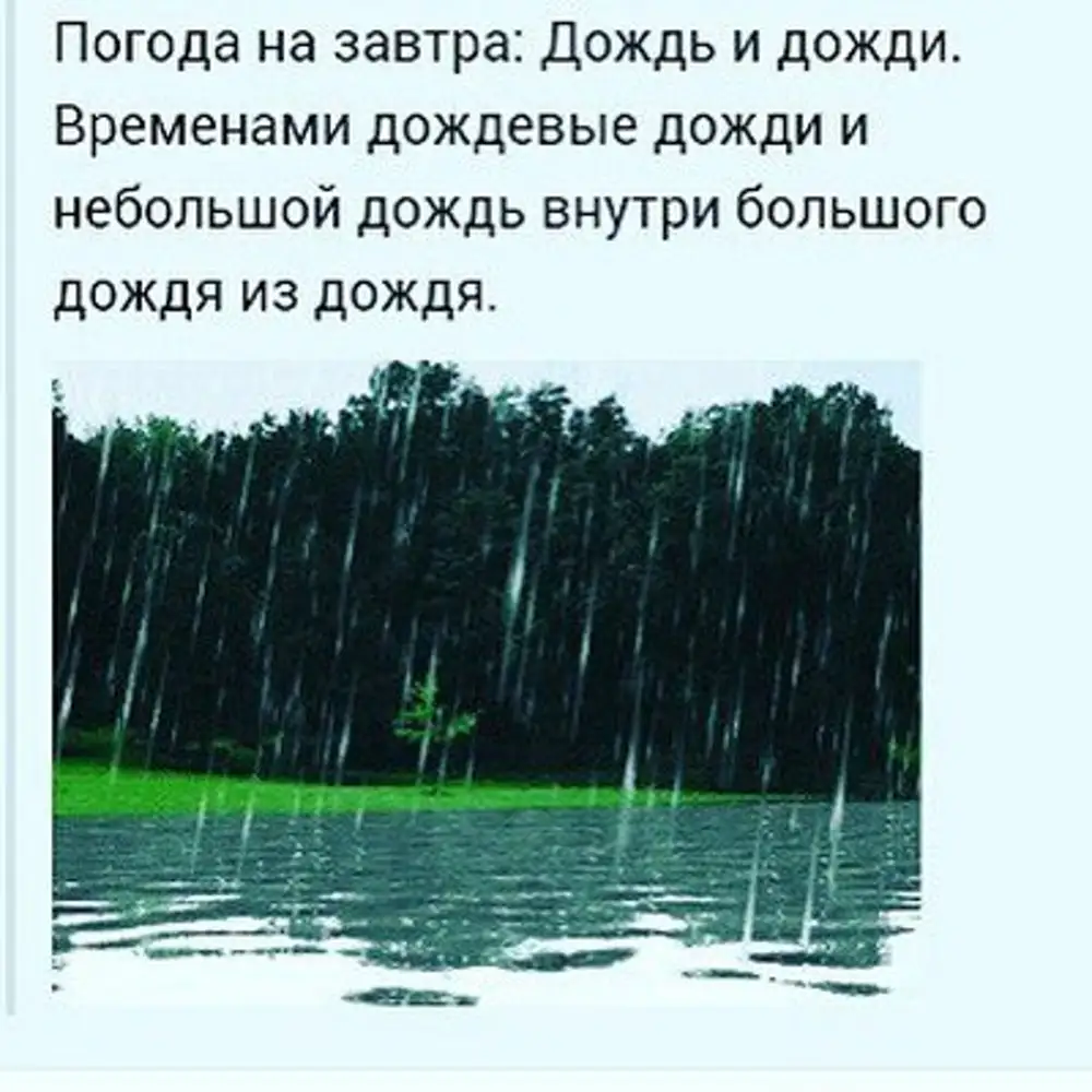 Хотя дождя. Прикольные фразы про дождь. Стихи про дождь прикольные. Завтра дождь с дождем. Смешные цитаты про дождь.